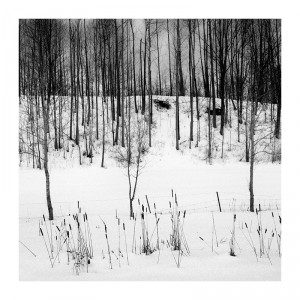 Winter 1 by Sasa Gyoker