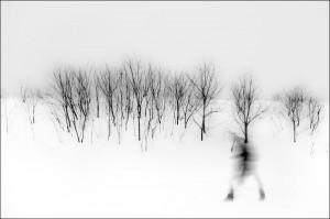 Winter by Sasa Gyoker copy